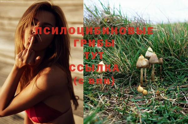 мет Заволжье