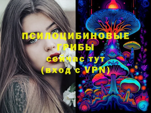 а пвп мука Заволжск